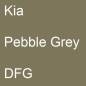 Preview: Kia, Pebble Grey, DFG.